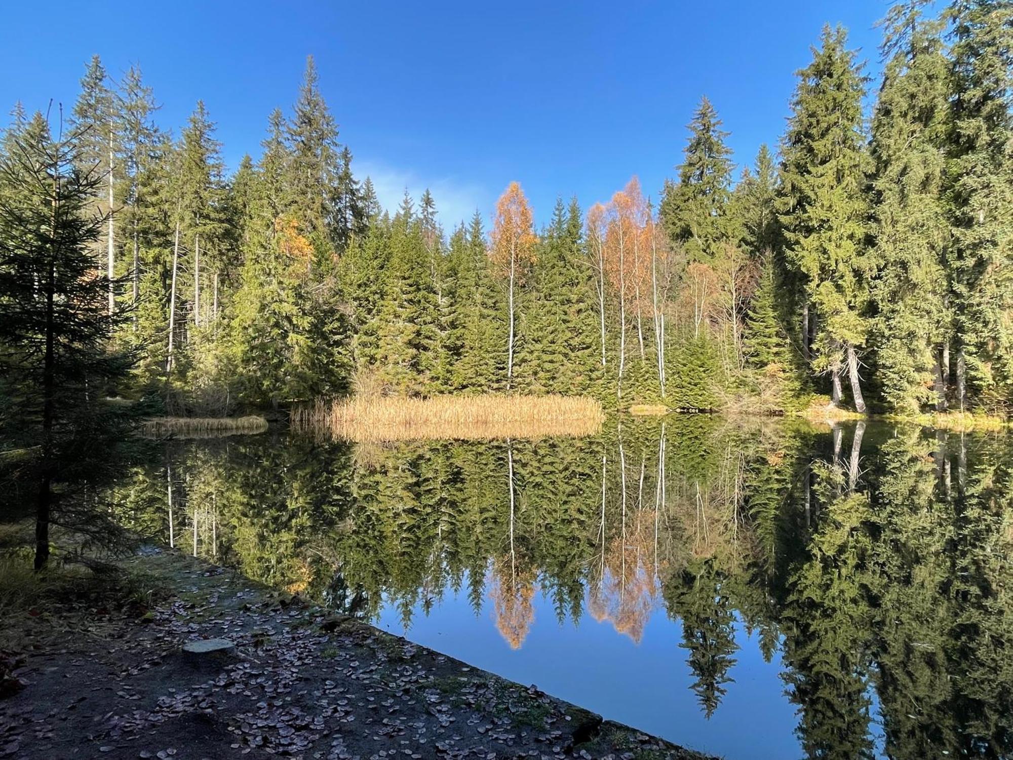 Chalupa U Krize Harrachov Exterior foto